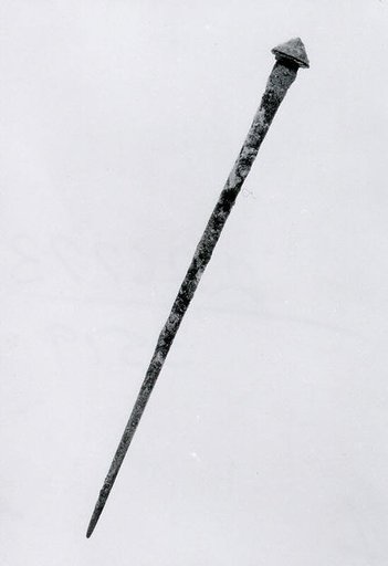 Pin