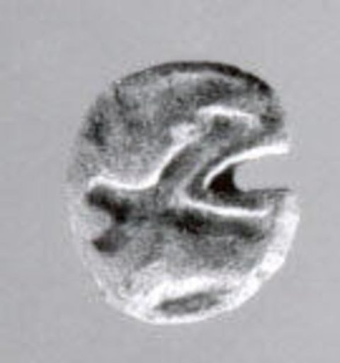 Stamp seal