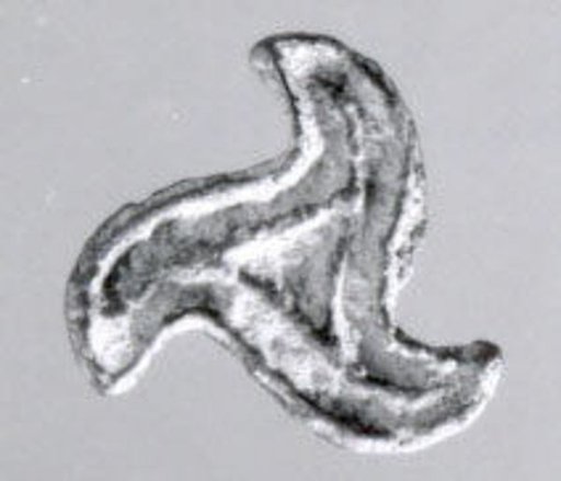 Stamp seal