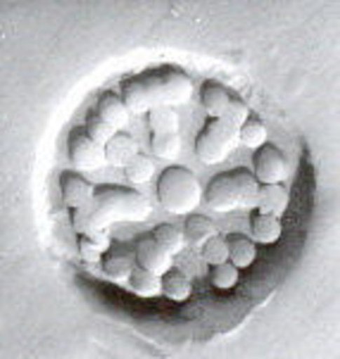 Stamp seal