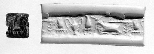 Cylinder seal