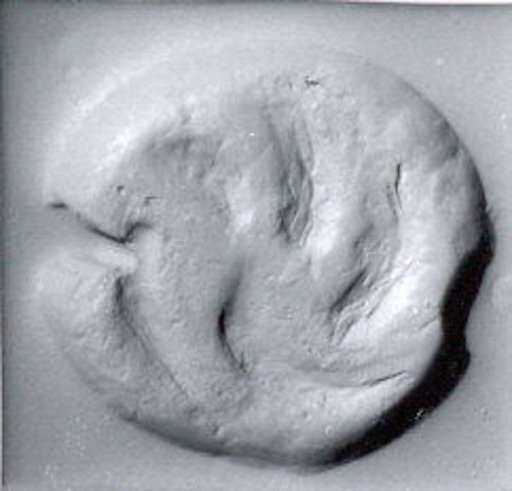 Ovoid seal