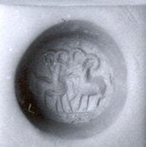Stamp seal