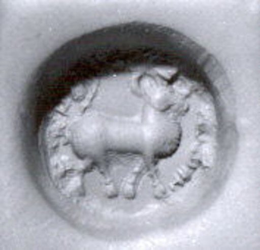 Stamp seal