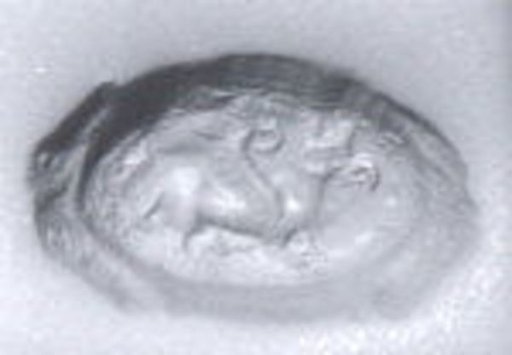 Stamp seal
