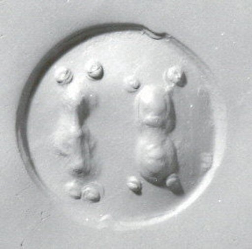 Drilled oval hemispheroid seal