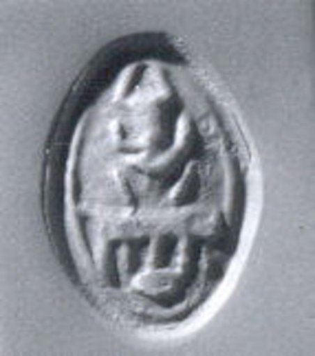 Cowroid seal