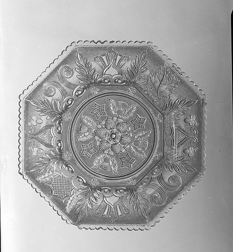 Dish