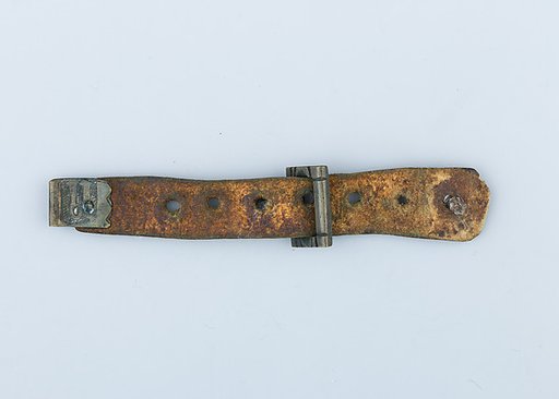 Buckle