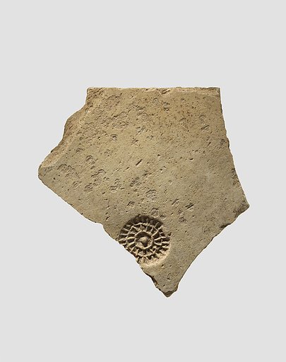 Sherds