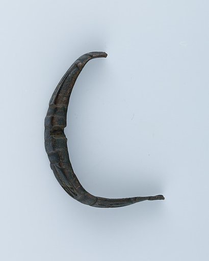 Part of a Buckle Loop
