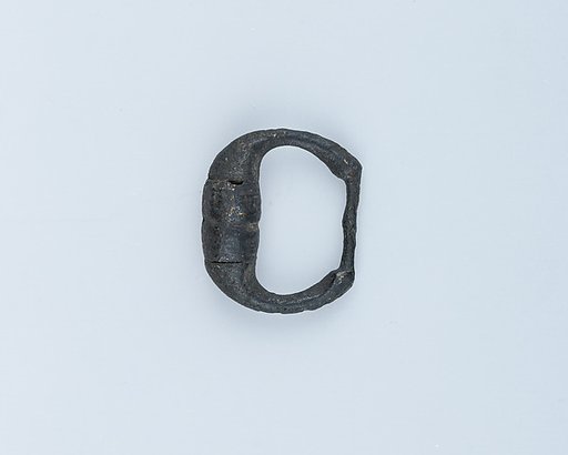 Buckle Loop