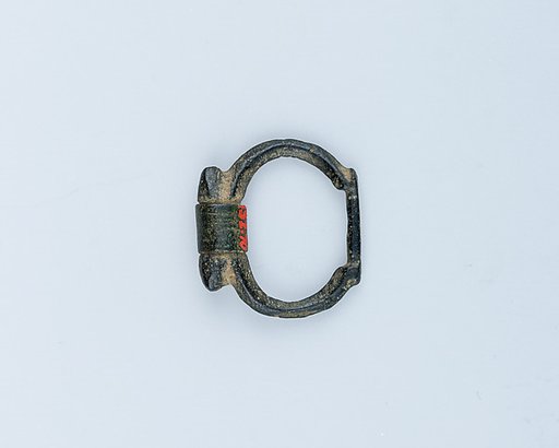 Buckle Loop