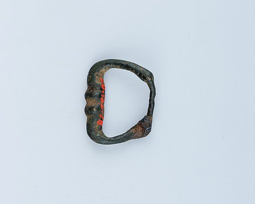 Buckle Loop