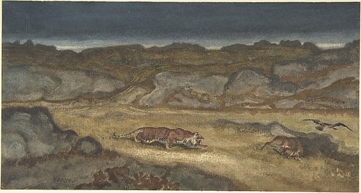 Tiger Stalking Prey