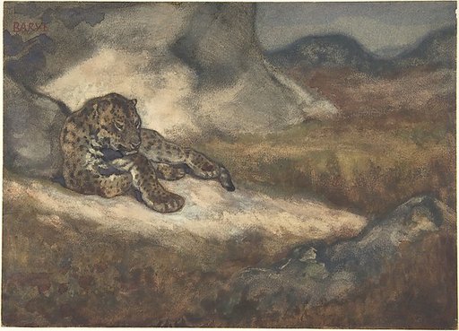 Leopard Lying Down