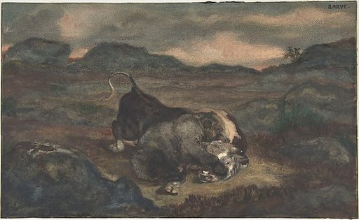 Bear Killing Bull