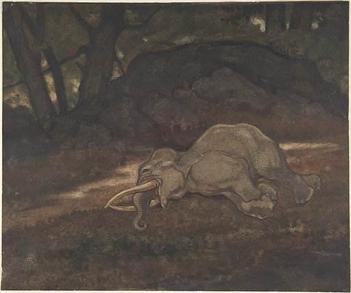 Sleeping Elephant