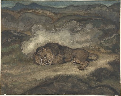 Lion Sleeping