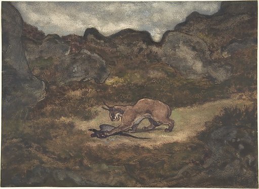 Caracal and Pheasant