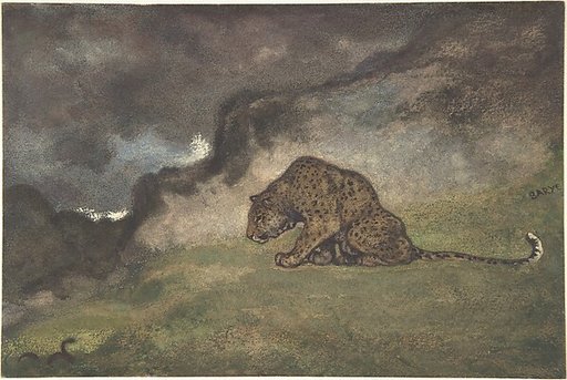 Leopard Watching Serpent