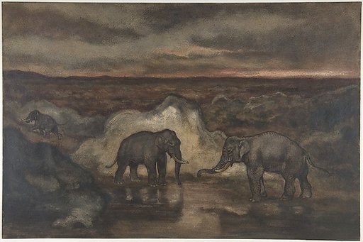 Elephants by a Pool