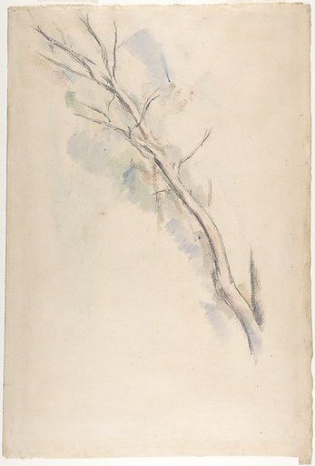 Studies of a tree (recto and verso)