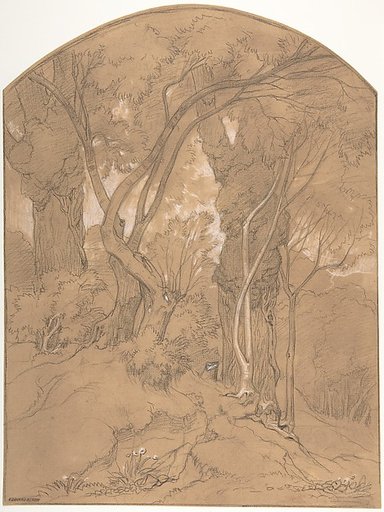 Trees in a Forest