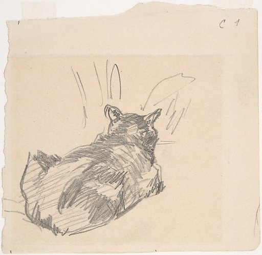 A Cat Resting on All Fours, Seen from Behind