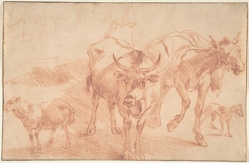 Animal Studies