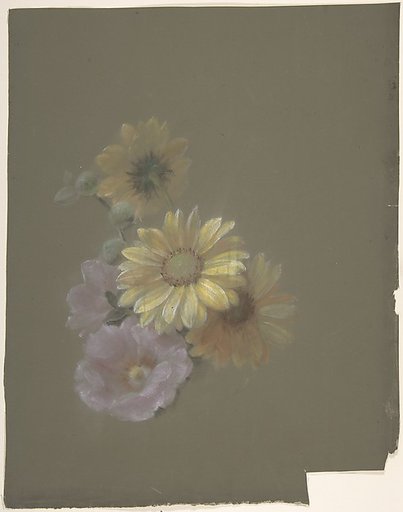 Yellow Daisies and Pink Wild Rose