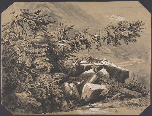 Fôrets et Montagnes