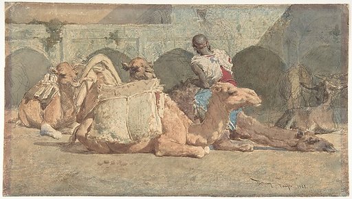 Camels Reposing, Tangiers