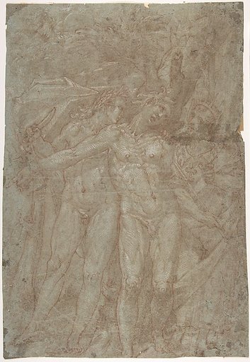 Apollo, Marsyas, and Midas