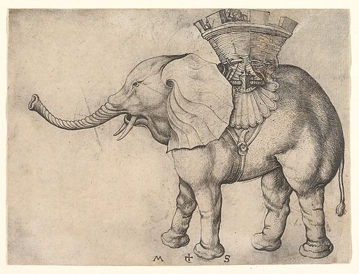 The Elephant
