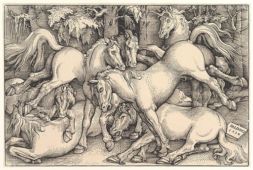 Group of Seven Horses