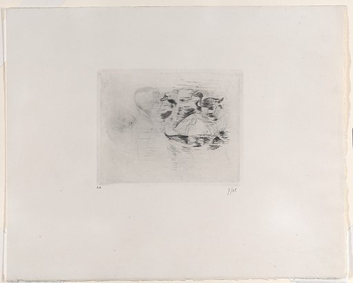 Swan and Duck, with Portraits of Julie