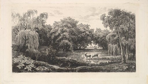 The Deer Pond