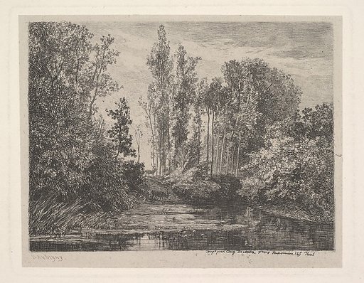 Stags at the Water's Edge