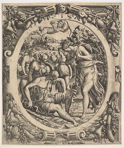 The Death of Adonis