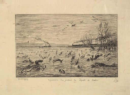 The Fish Rejoice in the Departure of the Cabin Boy
