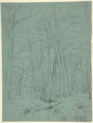 Forest View Near Fontainebleau