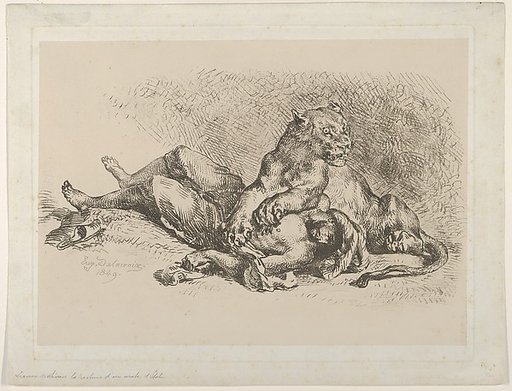 A Lioness Mauling the Chest of an Arab