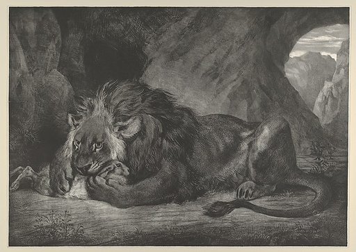 Lion of the Atlas Mountains