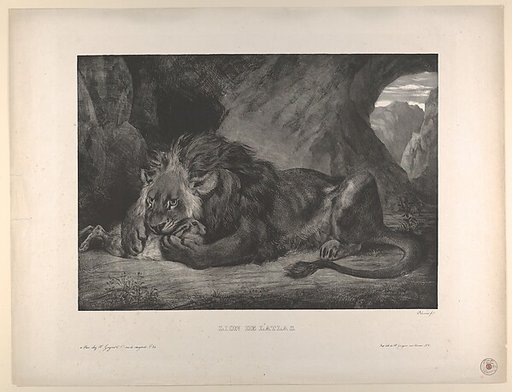 Lion of the Atlas Mountains