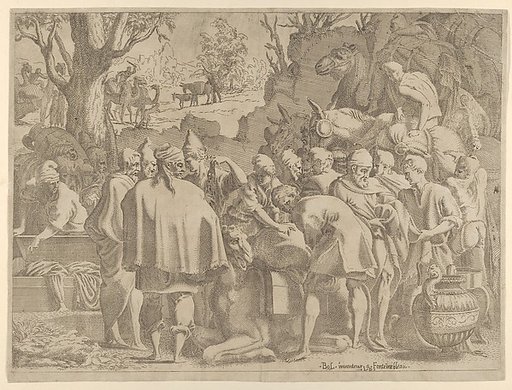 Men Gathered Around a Camel
