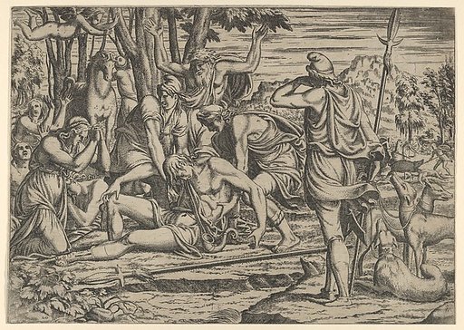 Death of Adonis