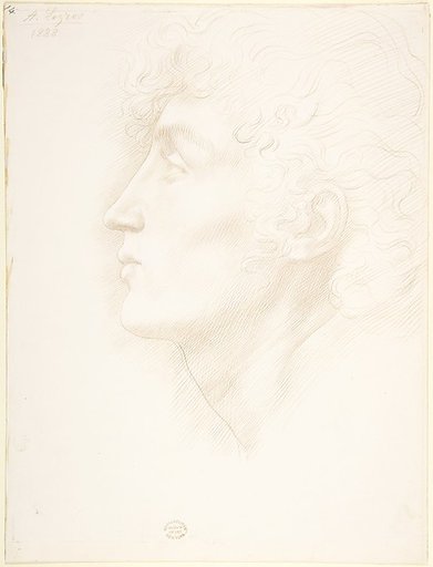 Head of an Irish Girl