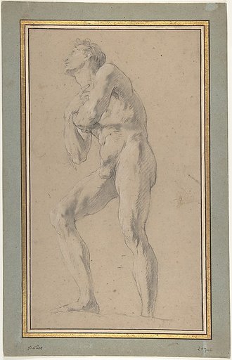 Standing Male Nude Seen from Below
