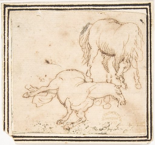 Horses